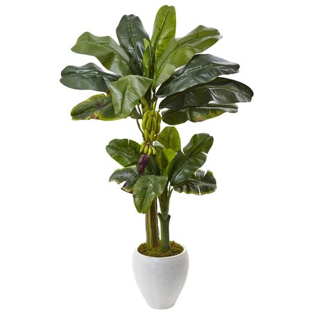 DARE2DECOR Double Stalk Banana Tree in White Planter DA416604